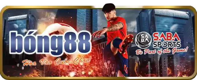 Liên hệ bộ phận hỗ trợ của 383sports chính thức